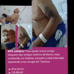 Rifa de uma porca e dois pix