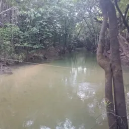 🗣️BANHOS PARCELADOS ÁGUA BOA BOMINTENTO INDIVIDUAIS!🏊🏻‍♀️🏝️