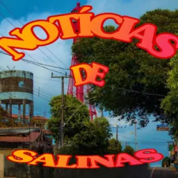 NOTÍCIAS DE SALINAS 🚓🚨
