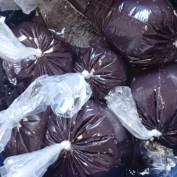 Grupo de vendas de açaí