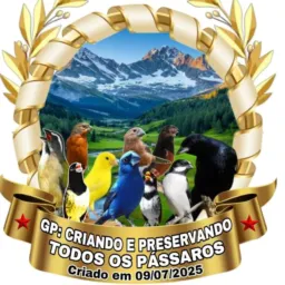 Criando e preservando todos os pássaros 🐦⬛🌾🐦