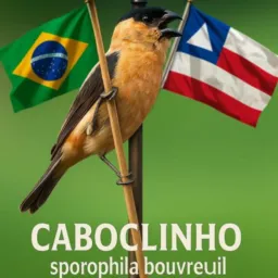 🇧🇷CABOCLINHO⚔️BIGODINHO OFICIAL-BA🇨🇱