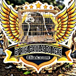 Grupo de rifa de gaiolas preseira região acre🤝