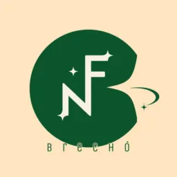 NF Brechó Outlet💚💫
