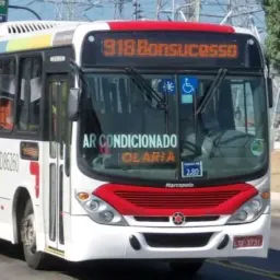 Sarapuí, Viegas, jardim violeta compra, vendas e trocas