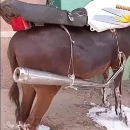 VENDAS TABATINGA 🤑