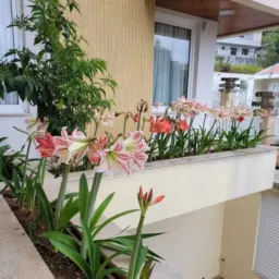 Grupo da resenha