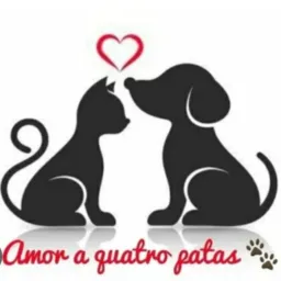 Amor a Quatro Patas /Manaus 🐶🐱❤️