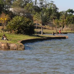 Desapega Lago Norte/DF