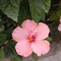 Belleza masculina en fotos ☺️