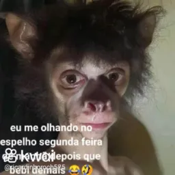 Zueira musica memes ,videos engraçados