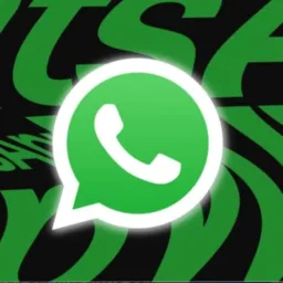 Divulgação de links paraense