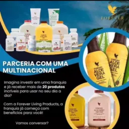 Vendas NOVO HORIZONTE