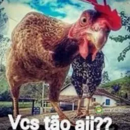 ⛔Compra e Venda de Animais e similares Manhuaçu