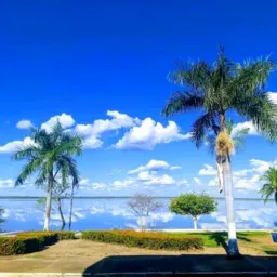 Lagoa em focos🙏🙏