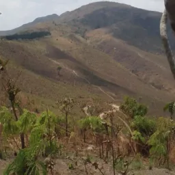 NYIMBO ZAUZIMU KOMASO NDIZOPHUNZISA
