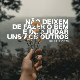 Grupo da amizade