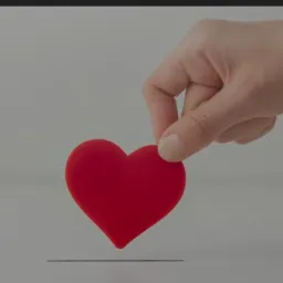 Doação