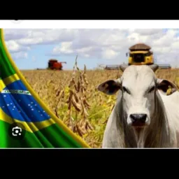 Vendas de equipamentos e maquinarios agrícola,e animais em geral