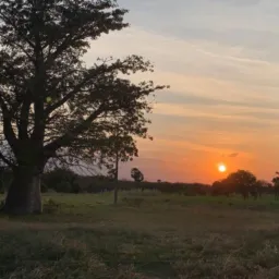 NATUREZA DO SERIDÓ RN