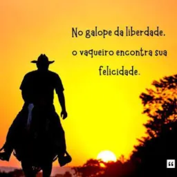 Poesia e Vaquejada 🐎🎵📚