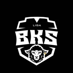 BKS | DIVULGAÇÃO LIGAS E CAMPEONATOS