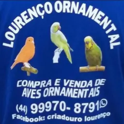 Vendas Sarandi........