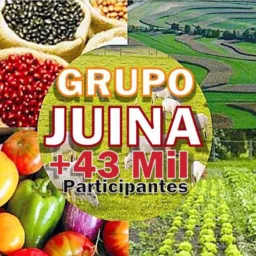 🛍️ www.fb.com/groups/Juína 2026