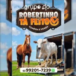 Grupo Roberto do tá feito vendas bovino e equinos
