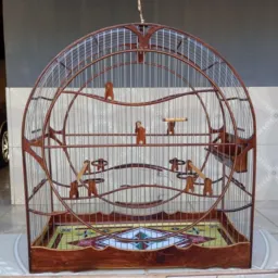 Aves e gaiolas