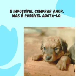 DOAÇÃO DE ANIMAIS (czs) 🐶❤️🐱