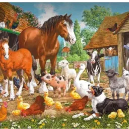 Moc Bicharadas🕊🐓🦆🦢🦃🦚🐈🐩🐖🐏🐎🐄