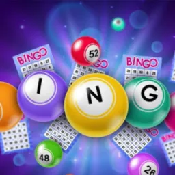 Links e Plataformas e Bingos