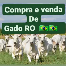 Compra e venda de gado