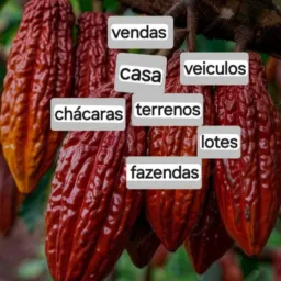 Compras e vendas medicilândia