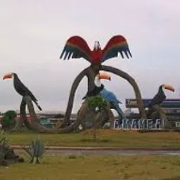 Divulgações, Amanbai 🦜