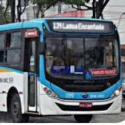 Todos por transporte