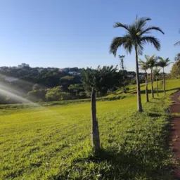 Mandaguaçu vendas
