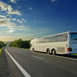 BATE E VOLTA E EXCURSÕES 🚎🏖️🙏🏼 OFICIAL
