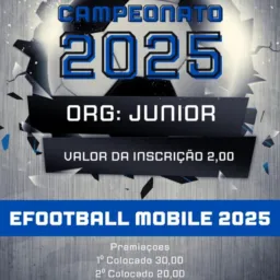 CAMPS DE EFOOTBALL 2025