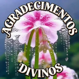 🌟AGRADECIMENTOS 🪻🌳 DiViNOS 🎉😇💕💰🙏