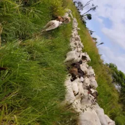 PABLO E AMIGOS 💯NEGÓCIOS DO Pará 🤝94981336608☎️