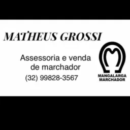 Grupo Matheus Grossi Assessoria