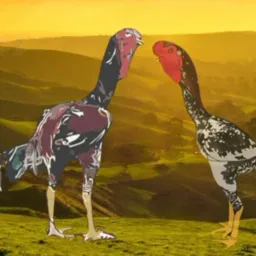 AVES SOMENTE COMPRA/VENDA