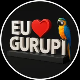 EU ❤️ GURUPI NOTÍCIAS