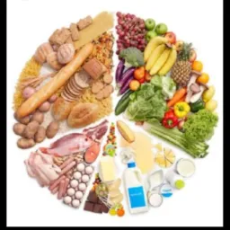 VAGAS 2 - Alimentos