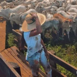 Agro fan🚜 🇧🇷💪🏻