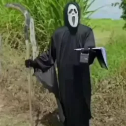 Grupo do amostradinho