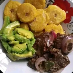 Os analfabetos de plantão
