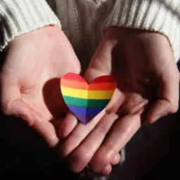 GAY BAHIA e VARIEDADES